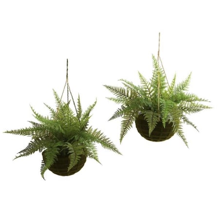 Dare2Decor Leather Fern with Mossy Han- ng Basket - Indoor-Outdoor, 2PK DA664568
